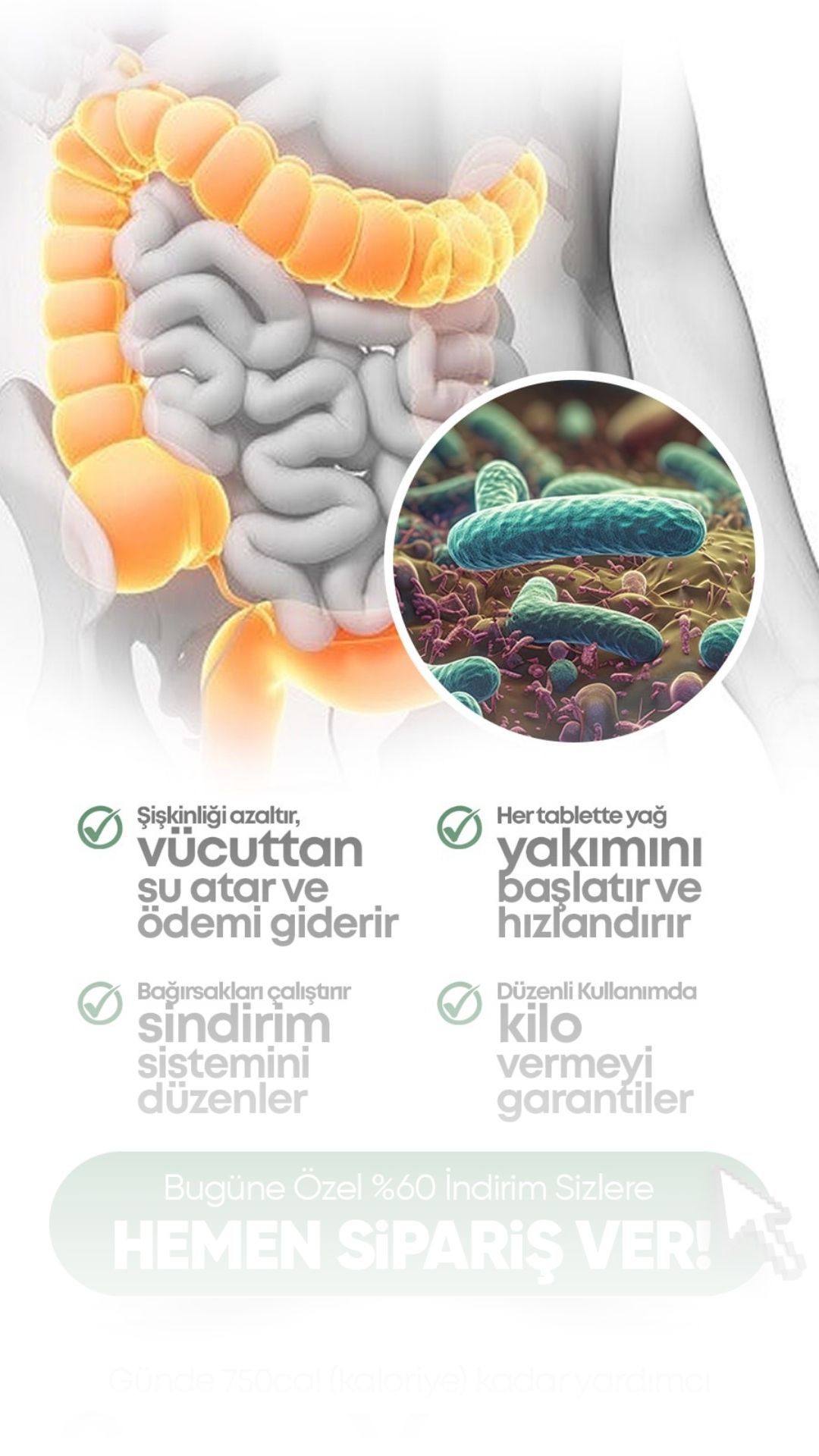 Örnek Yaprak Site Çalışması 3