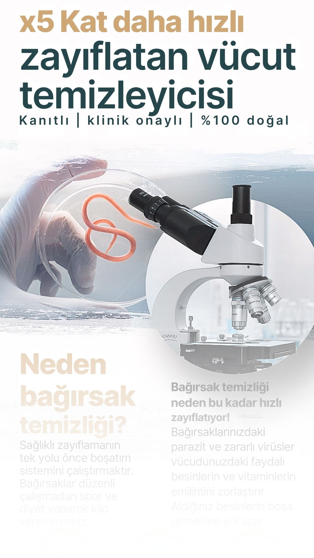Örnek Yaprak Site Çalışması 34